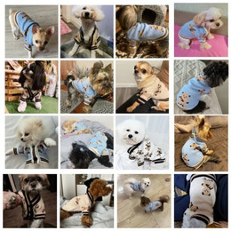 Produktbild von HS.SUPPLY Hundepullover Strickpullover mit Teddy-Bär Design