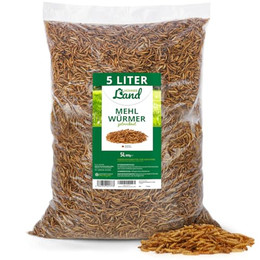 Produktbild von HÜHNER Land Mehlwürmer getrocknet - 5 l