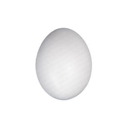 Produktbild von Hühnereier aus Gips