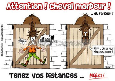 Produktbild von Humoristische Platte Beißendes Pferd Fr8Man