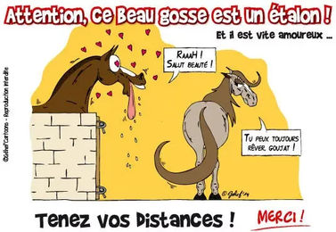 Produktbild von Humoristische Platte Hübsches Herz Fr8Man