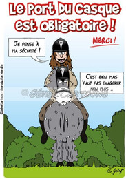 Produktbild von Humoristische Platte Reithelm Fr8Man