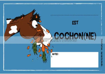 Produktbild von Humoristische Platte Schwein/ne Fr8Man