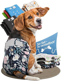 Produktbild von HUND IST KÖNIG Hundewindeln für Hündinnen