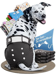 Produktbild von HUND IST KÖNIG Windeln für Hündinnen schwarz M