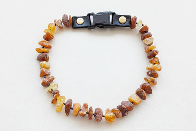 Produktbild von Hunde Bernsteinkette Click