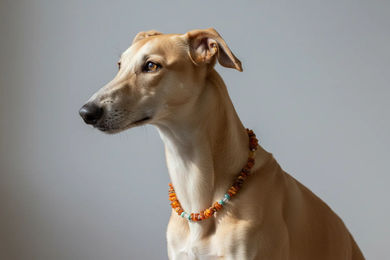 Produktbild von Hunde Bernsteinkette mit Bergkristall & Howlith Länge 36cm