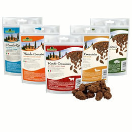 Hunde-Crossinies – Bild 1 von 5