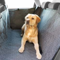 Produktbild von Hunde-Hundedecke Allside Prestige grau