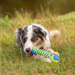 Produktbild von Hunde-Wasserspielzeug Knot Bone blau-gelb - 1 Stk.
