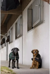 Produktbild von Hundedecke aus Nylon Diego & Louna Teddy