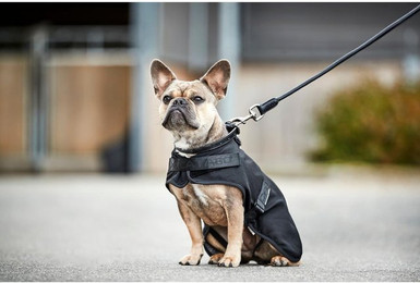 Produktbild von Hundedecke Catago Hybrid