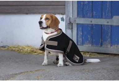 Produktbild von Hundedecke Diego & Louna Polyfun