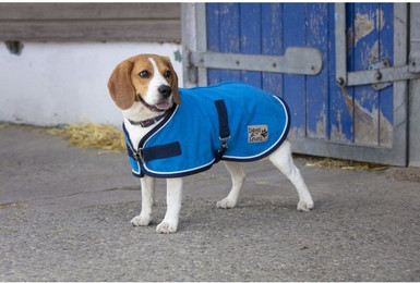 Produktbild von Hundedecke Diego & Louna Polyfun