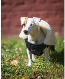 Produktbild von Hundedecke GEM