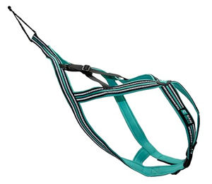 Hundegeschirr Cani Gear Olympia – Bild 1 von 9