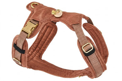 Produktbild von Hundegeschirr Cinnamon XS/S