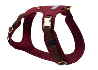 Produktbild von Hundegeschirr Elisabeth XL