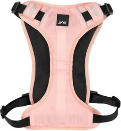 Produktbild von Hundegeschirr FuzzYard Active Go