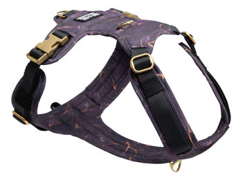 Produktbild von Hundegeschirr Golden Plum L/XL