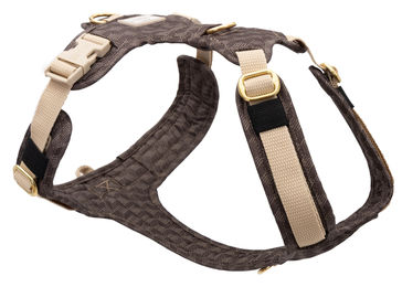 Produktbild von Hundegeschirr Hazel M