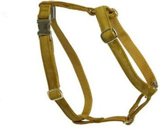 Produktbild von Hundegeschirr Kentucky Loop Velvet
