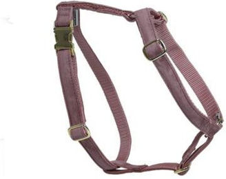 Hundegeschirr Kentucky Loop Velvet – Bild 1 von 9