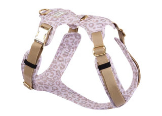 Produktbild von Hundegeschirr Leo Creme