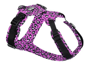 Produktbild von Hundegeschirr Leo Fuchsia XS/S