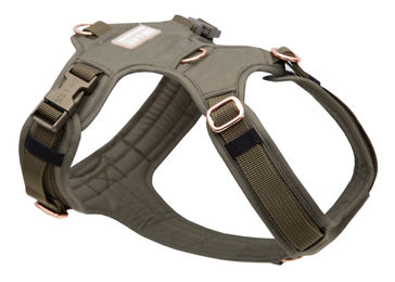 Produktbild von Hundegeschirr Lotte 2.0 M