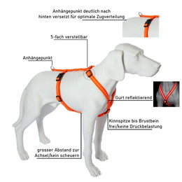 Produktbild von Hundegeschirr Mantrailing/Suchgeschirr Basic