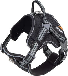 Produktbild von Hundegeschirr Martin Sellier