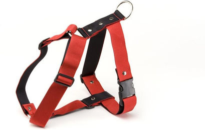 Produktbild von Hundegeschirr Martin Sellier L