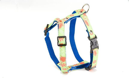 Produktbild von Hundegeschirr Martin Sellier S