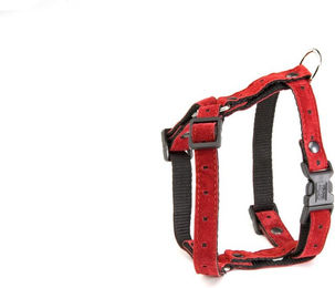 Produktbild von Hundegeschirr Martin Sellier S