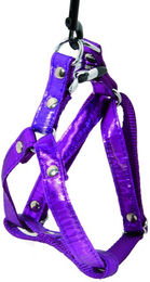 Produktbild von Hundegeschirr Martin Sellier XS