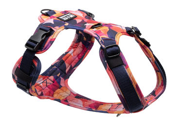 Produktbild von Hundegeschirr mit Halsöffnung Blättergedöns L/XL