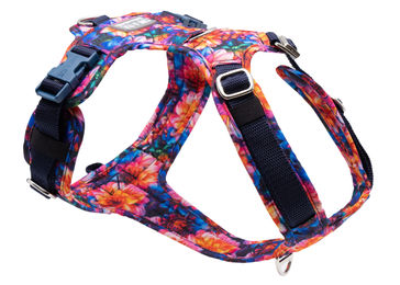 Produktbild von Hundegeschirr mit Halsöffnung Dahlia L/XL