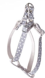 Produktbild von Hundegeschirr mit Punkten Martin Sellier XS