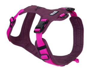 Produktbild von Hundegeschirr Pink Berry S/M