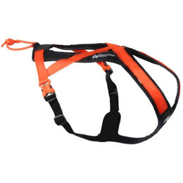 Hundegeschirr Rush Harness Orange/Schwarz – Bild 1 von 5