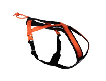 Produktbild von Hundegeschirr Rush Harness Orange/Schwarz Größe 4