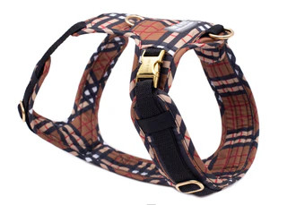 Produktbild von Hundegeschirr Sherlock XS/S