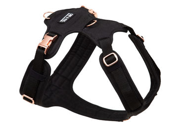 Produktbild von Hundegeschirr Tiffanys M