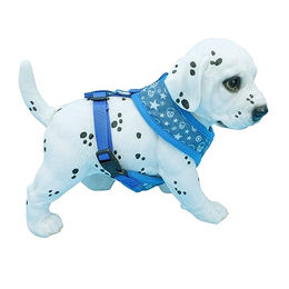 Hundegeschirr Totenkopf für kleine, mittlere und große Hunde Welpen – Bild 1 von 8