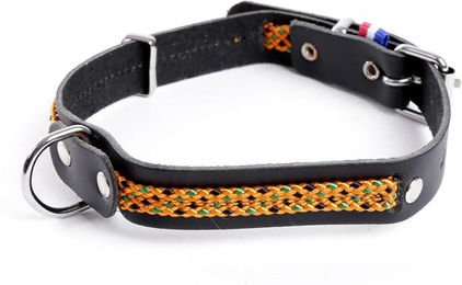 Produktbild von Hundehalsband aus Leder Martin Sellier Colorado