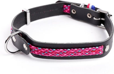 Produktbild von Hundehalsband aus Leder Martin Sellier Colorado
