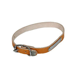 Hundehalsband aus Leder mit Latz Martin Sellier Rive – Bild 1 von 2