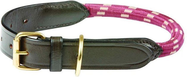 Hundehalsband aus Leder Seil Weatherbeeta – Bild 1 von 6