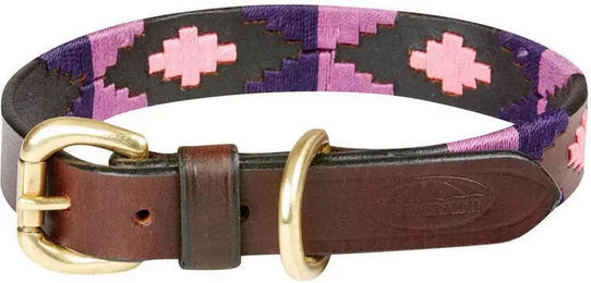 Hundehalsband aus Leder Weatherbeeta Polo – Bild 1 von 8